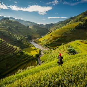 Durchs Reich der Bergvölker ab Hanoi: Mu Cang Chai rice fields stretching across mountainside
