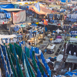 Les emblèmes de Mumbai: Mumbai Dhobi Ghat