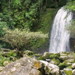 Laos - Yunnan: Auf Schienen durch zwei Welten ab Luang Prabang: Nam Kat Waterfall