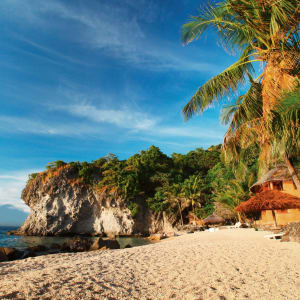 Inselwelt Visayas ab Negros: Negros Apo Island