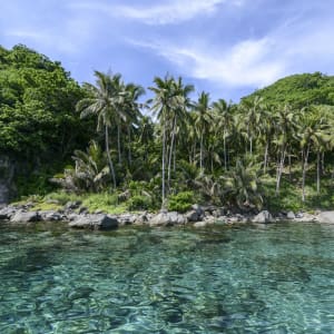 Archipel des Visayas de Negros: Negros Apo Island