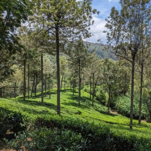 Eine Reise jenseits der Teefelder in Nuwara Eliya: Nuwara Eliya