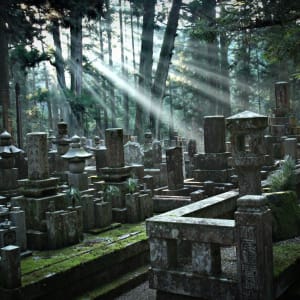 Weltkulturerbe Koya-San Klöster ab Kyoto: Okunoin Cemetery at Mount Koya