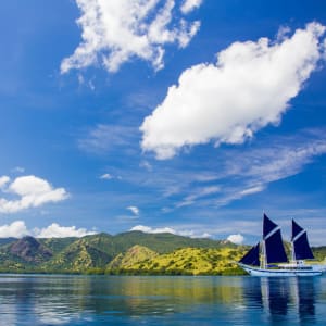 Kreuzfahrt zu den Komodo-Waranen ab Labuan Bajo: Ombak Putih