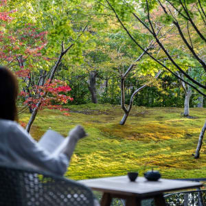Garrya Nijo Castle Kyoto:  Beautiful garden to relax