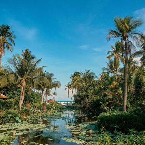 Anantara Mui Ne Resort in Phan Thiet:  Lotus Pond