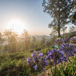 Goatfell in Nuwara Eliya:  Pool and view