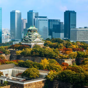 Leserreise Einzigartiges Japan de Tokyo: Osaka Castle