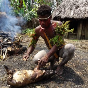 Papouasie – un voyage dans un autre temps de Jayapura: Pig Festival