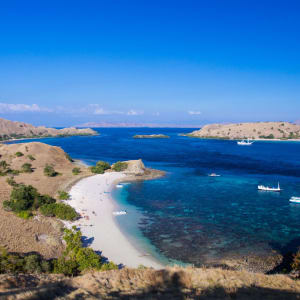 Kreuzfahrt zu den Komodo-Waranen ab Labuan Bajo: Pink Beach