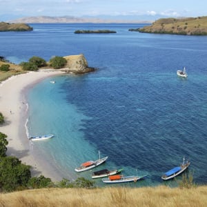 Kreuzfahrt zu den Komodo-Waranen ab Labuan Bajo: Pink Beach