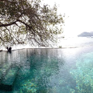 Ahilya by the Sea in Goa:  Main Pool