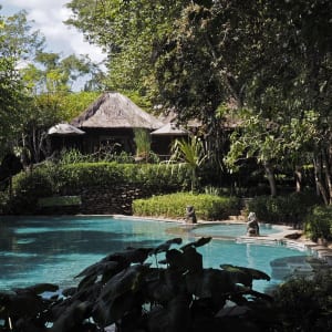 The Menjangan in Nordbali:  Monsoon Lodge Pool