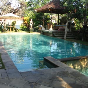 Alam Jiwa in Ubud:  Pool