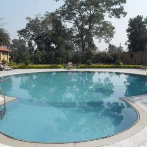 Tiger's Den Resort à Bandhavgarh:  Pool