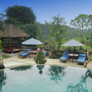 Alam Indah in Ubud:  Pool