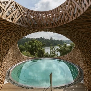 Mandai Rainforest Resort by Banyan Tree in Singapur:  Private Pool Pavilion for Treehouse Guests only