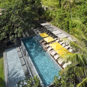 The Beach Club by Haadtien in Ko Tao:  Swimming Pool (The Beach Club)