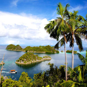 Kreuzfahrt im Inselparadies Raja Ampat ab Sorong: Raja Ampat