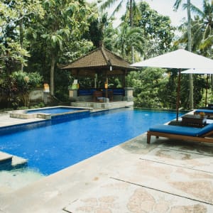 Alam Shanti in Ubud:  1-Bedroom Suite