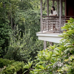 The Datai Langkawi:  Canopy Premium