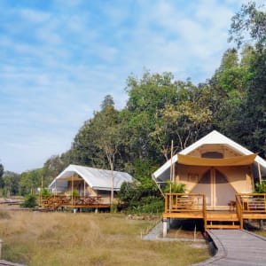 Cardamom Tented Camp – Circuit découverte de Phnom Penh: room: Cardamom Tented Camp | Tents