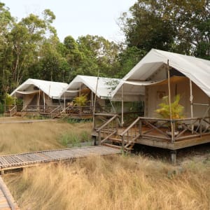 Cardamom Tented Camp – Circuit découverte de Phnom Penh: room: Cardamom Tented Camp | Tents