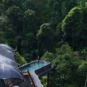 Capella Ubud, Bali:  Keliki Valley Tent | Saltwater Pool