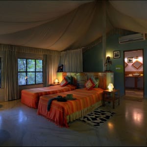 Pench Jungle Camp:  Luxury Tent