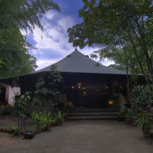 Pench Jungle Camp:  Luxury Tent