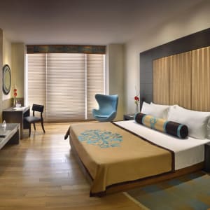 The Lalit Great Eastern in Kolkata:  New Block - Deluxe Room