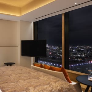 Bulgari Hotel Tokyo:  Superior view over Tokyo