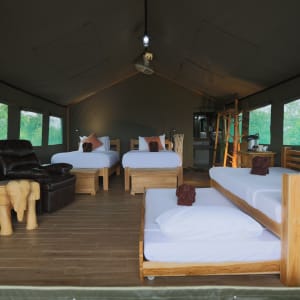 The Bush Camp Chiang Mai - 2 jours: room: Tent | 4 Persons