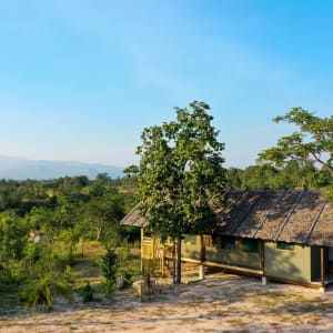 The Bush Camp Chiang Mai - 2 jours: room: Tent Outside