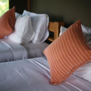 The Bush Camp Chiang Mai - 2 jours: room: Tent | Twin Bed