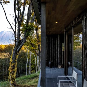 Zaborin in Niseko:  Washitsu