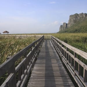 Mietwagen-Rundreise in den Süden ab Bangkok: Sam Roi Yod National Park