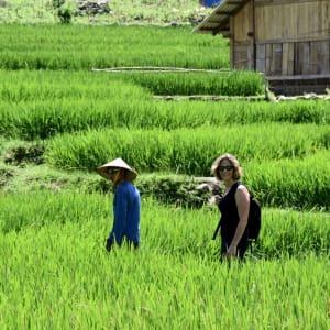 Abenteuer Sapa - Hiking Package ab Hanoi: Sapa: Hiking in nature