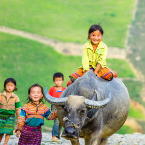 Natur & Kultur rund um Sapa ab Hanoi: Sapa: Hmong children