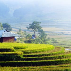 Abenteuer Sapa «Authentic Package» ab Hanoi: Sapa: house of Red Dao on footpaths and terraced fields