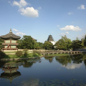 Tour de ville de Séoul privé: Seoul Gyeongbok Palace