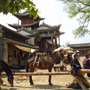 Les hauts lieux du Yunnan de Kunming: Shaxi: Traditional town