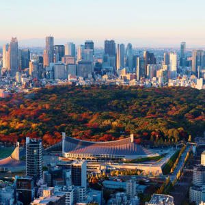 Tokyo à la carte - Journée entière: Shinjuku District and Yoyogi urban park