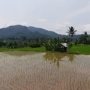 Nature et traditions à l’est de Bali de Sud de Bali: Sidemen Hiking