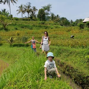 Natur & Traditionen in Balis Osten ab Südbali: Sidemen Hiking