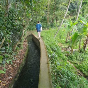 Natur & Traditionen in Balis Osten ab Südbali: Sidemen Hiking
