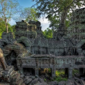 Les hauts lieux du Cambodge de Siem Reap: Siem Reap Ta Phrom