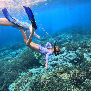 Kreuzfahrt zu den Komodo-Waranen ab Labuan Bajo: Snorkeling