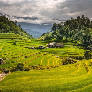Nord Vietnam sauvage de Hanoi: Spectacular terraced rice fields of Hoang Su Phi