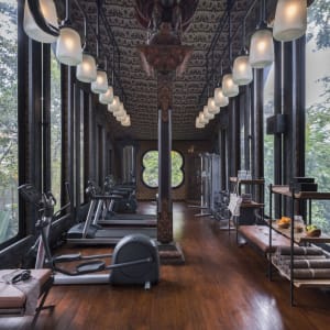 Capella Ubud, Bali:  Fitness